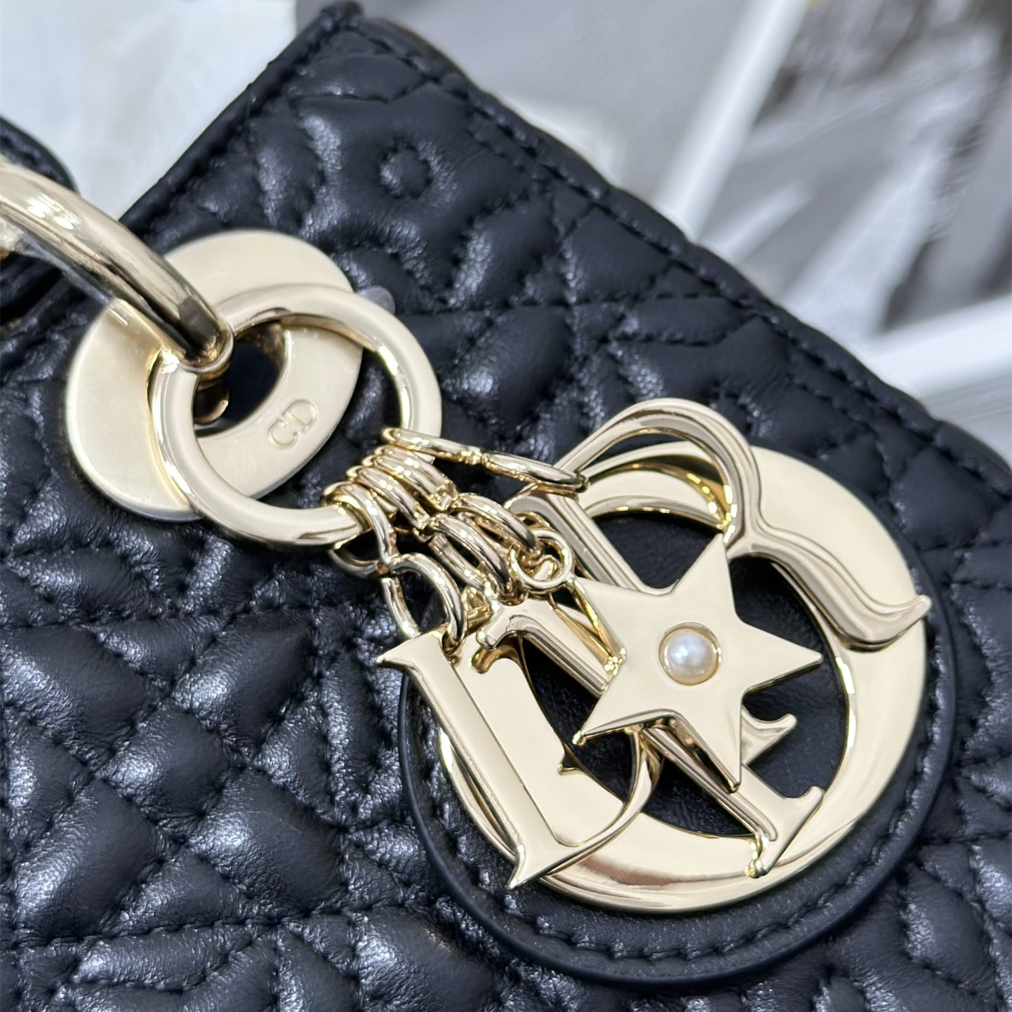 Dior 迪奧 Leather Goods