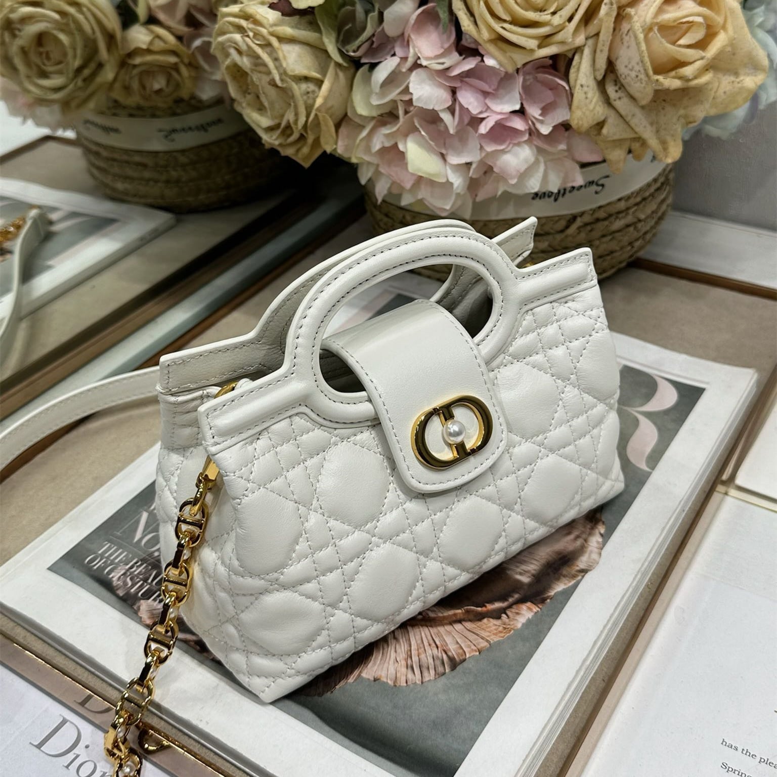 Dior 迪奧 Leather Goods