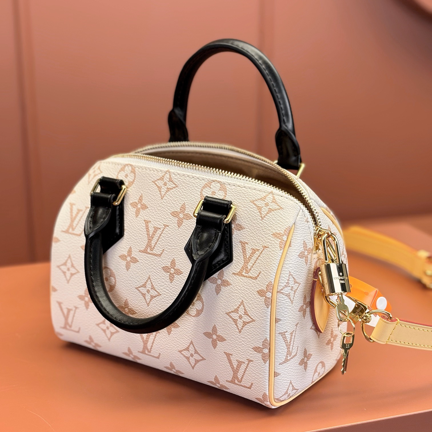 Louis Vuitton 路易威登 Leather Goods