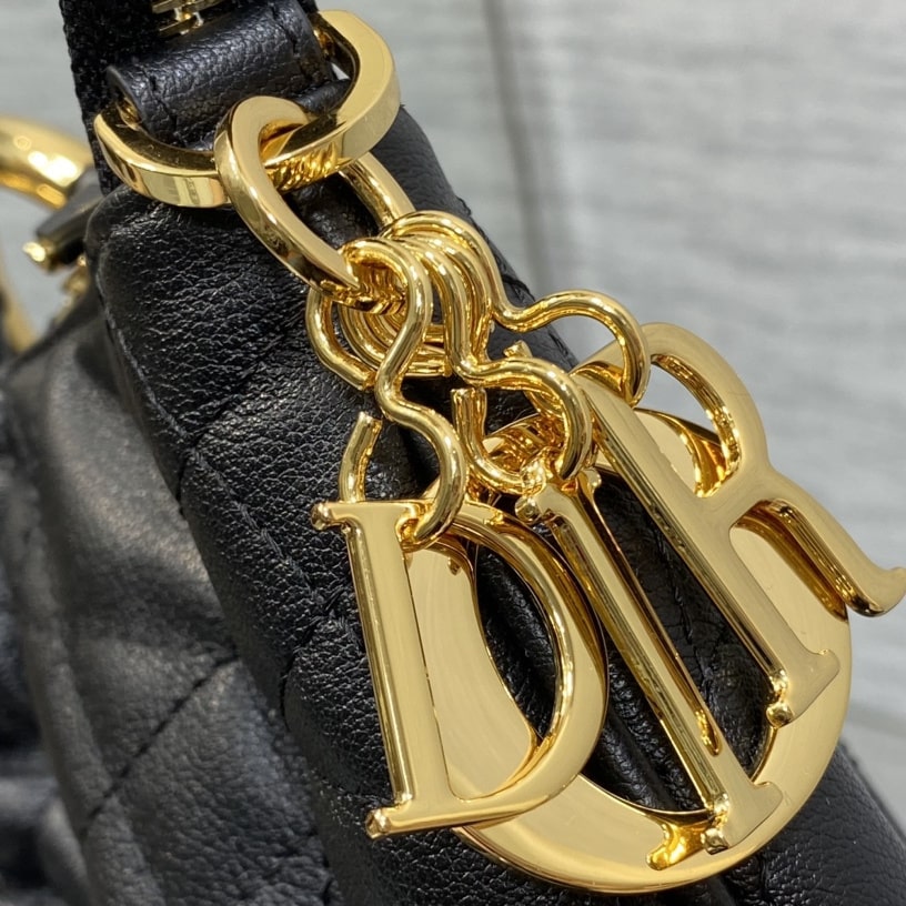 Dior 迪奧 Leather Goods