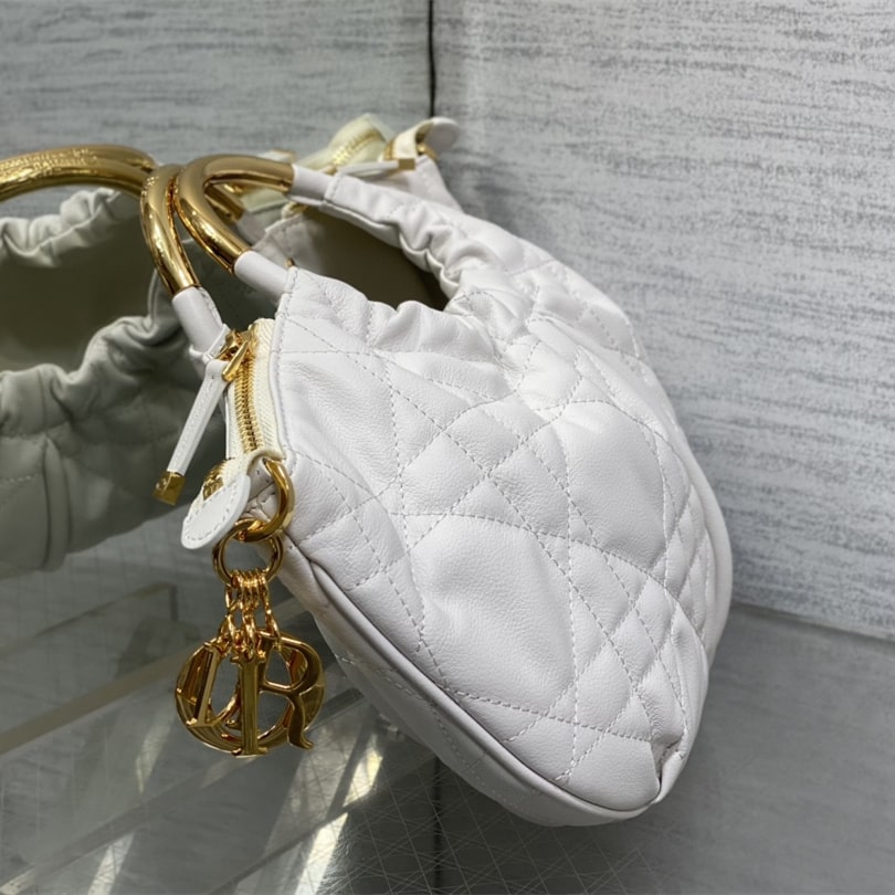 Dior 迪奧 Leather Goods