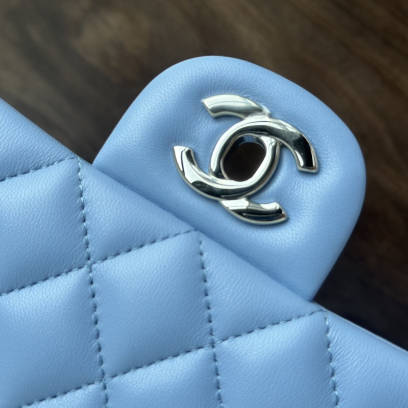 Chanel 香奈兒 Leather Goods