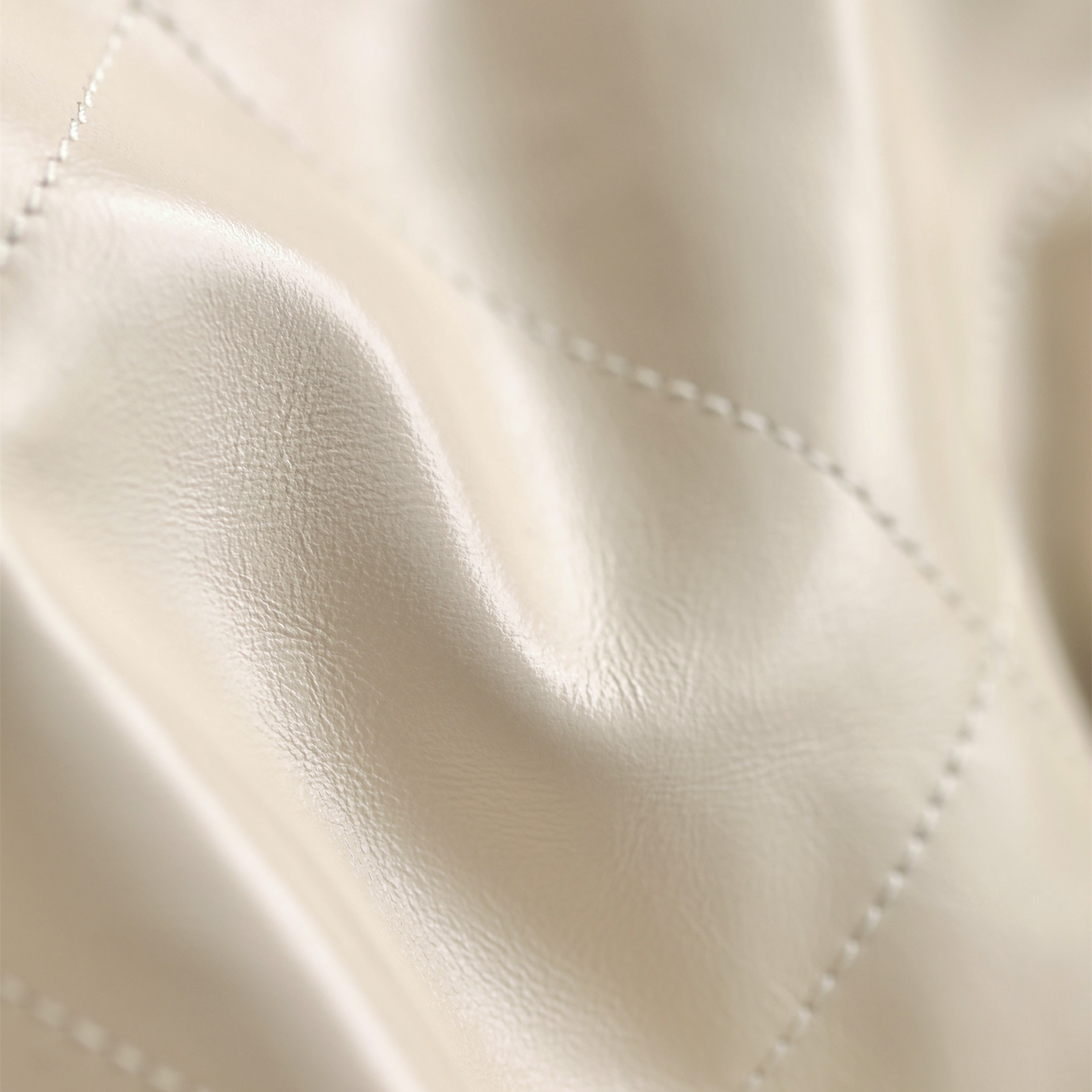Chanel 香奈兒 Leather Goods