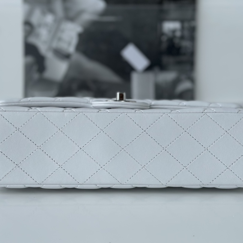 Chanel 香奈兒 Leather Goods