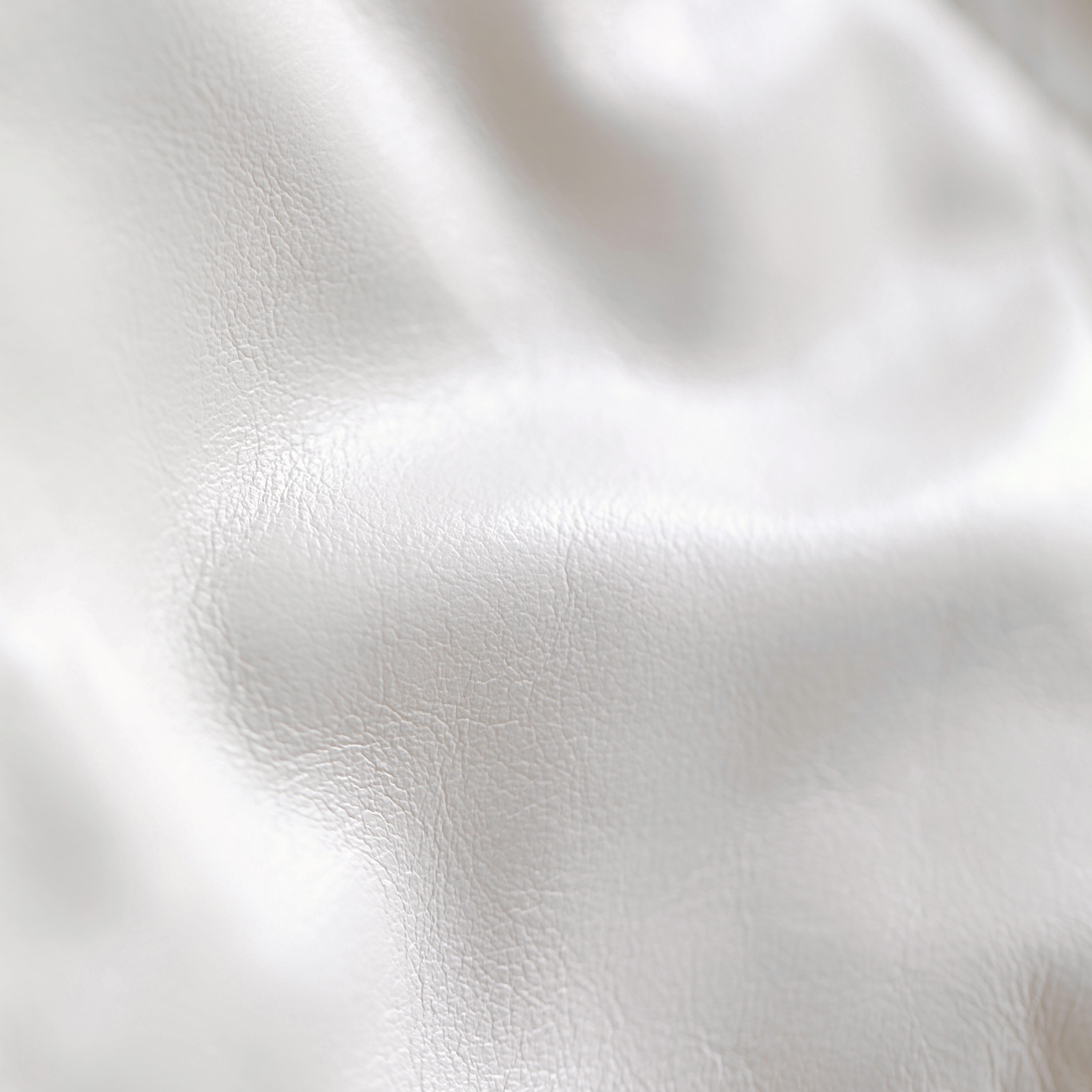 Chanel 香奈兒 Leather Goods