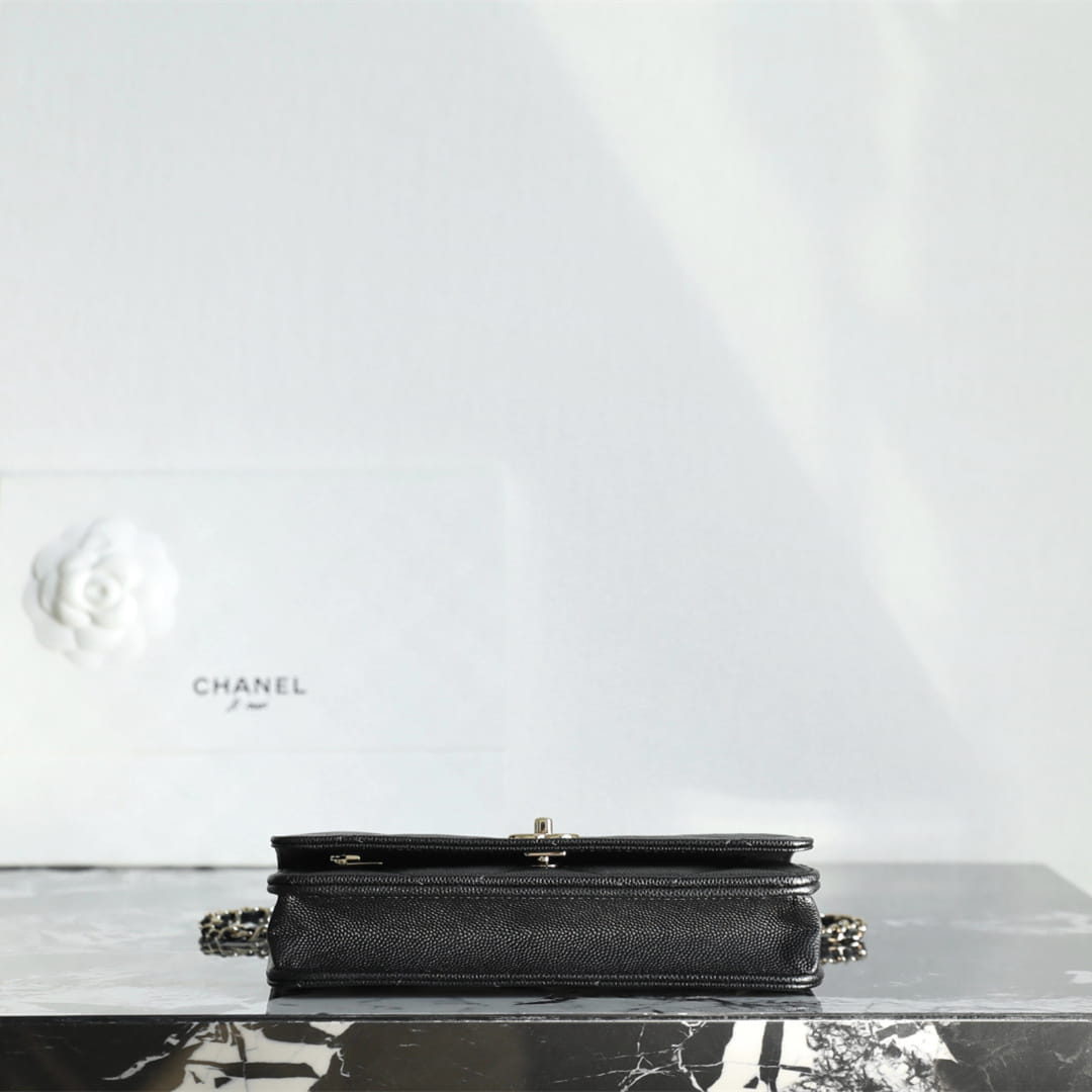 Chanel 香奈兒 Leather Goods