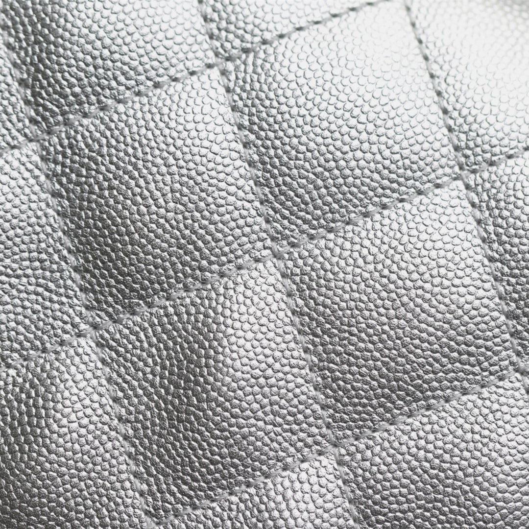 Chanel 香奈兒 Leather Goods