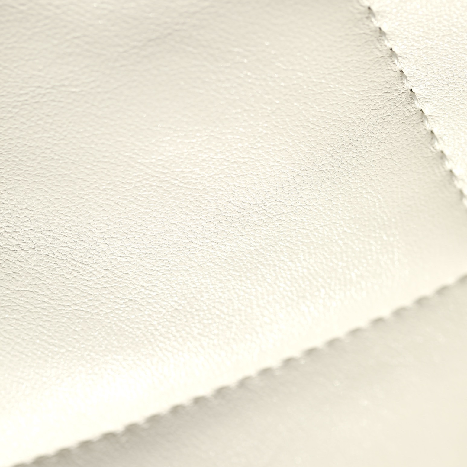 Chanel 香奈兒 Leather Goods