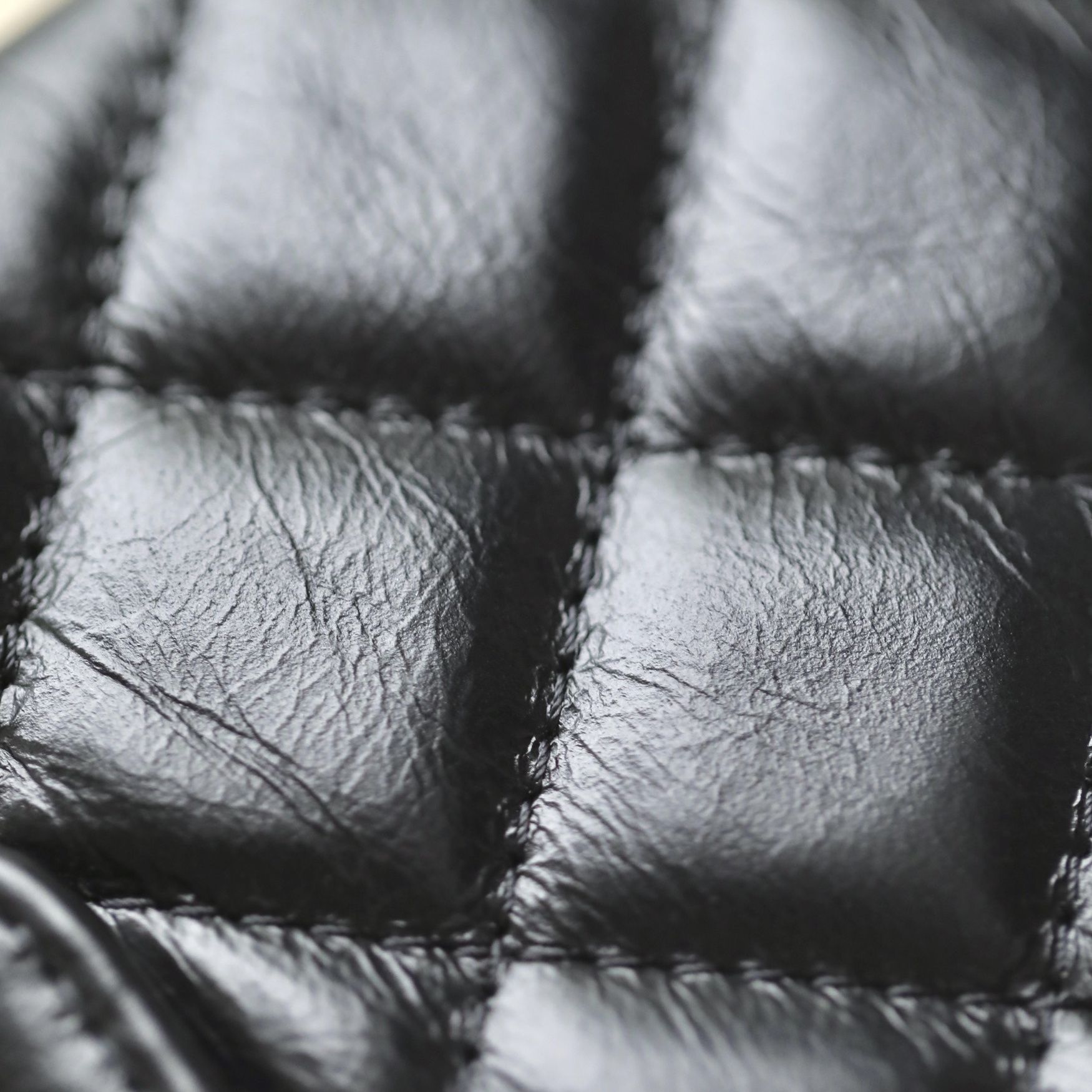 Chanel 香奈兒 Leather Goods