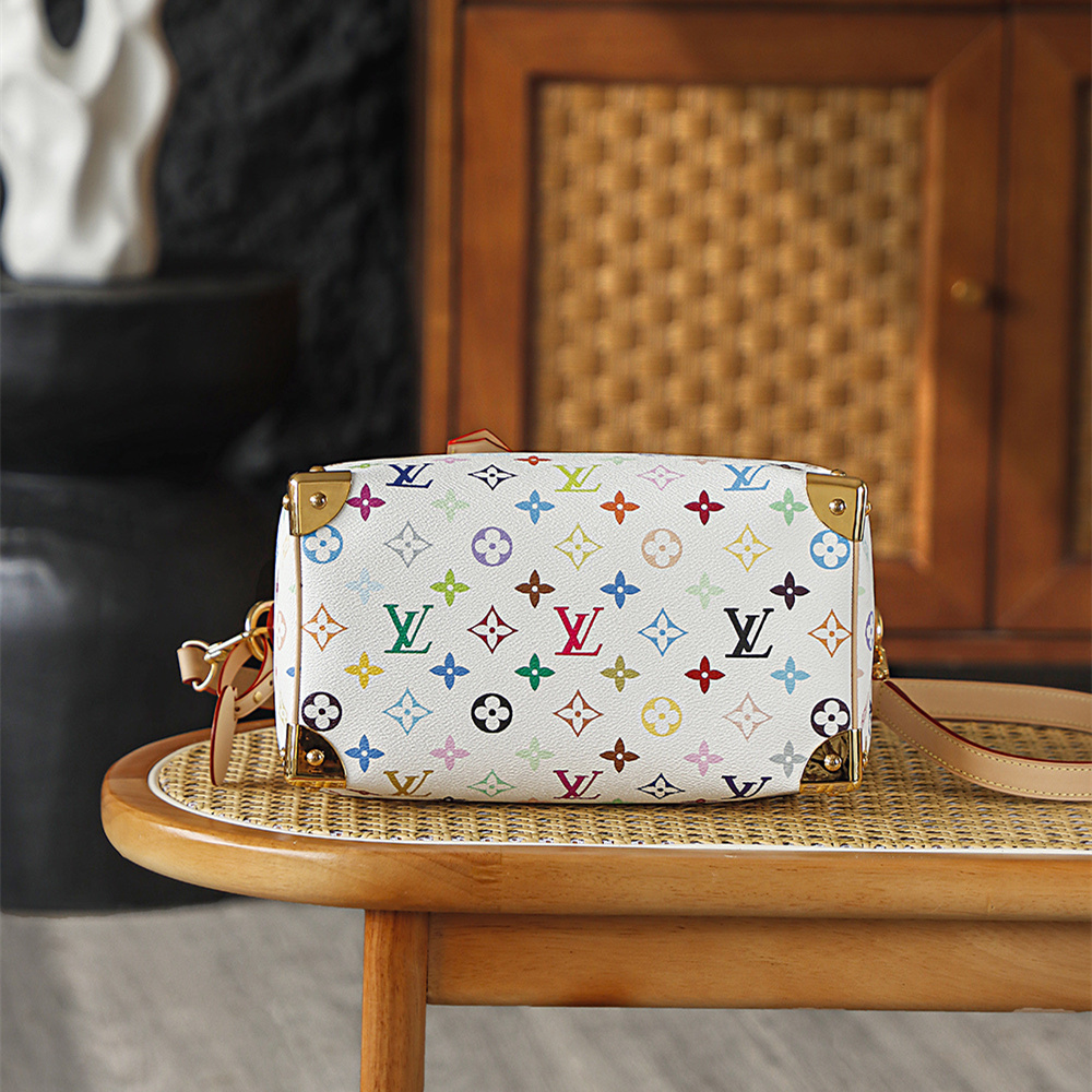 Louis Vuitton 路易威登 Leather Goods