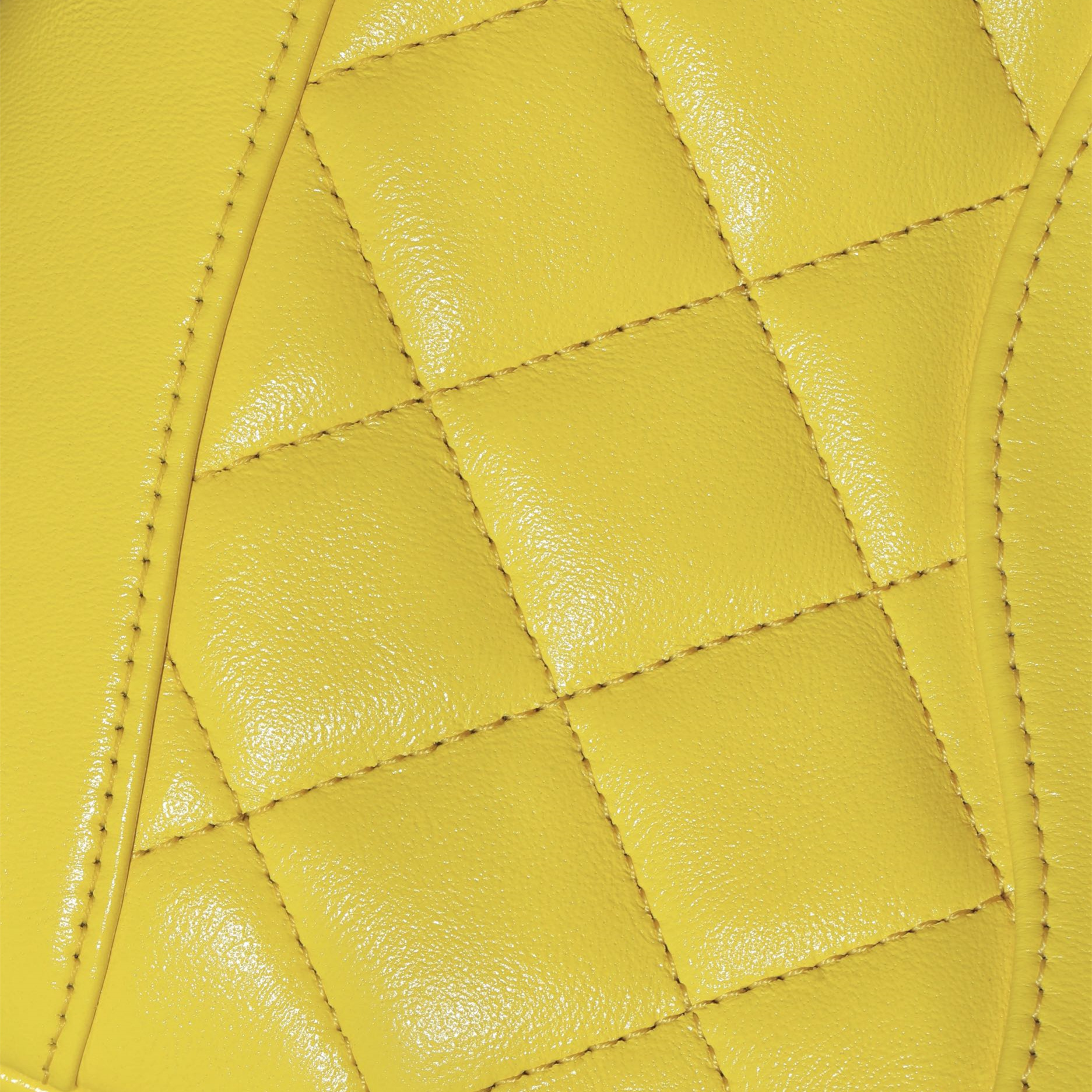 Chanel 香奈兒 Leather Goods