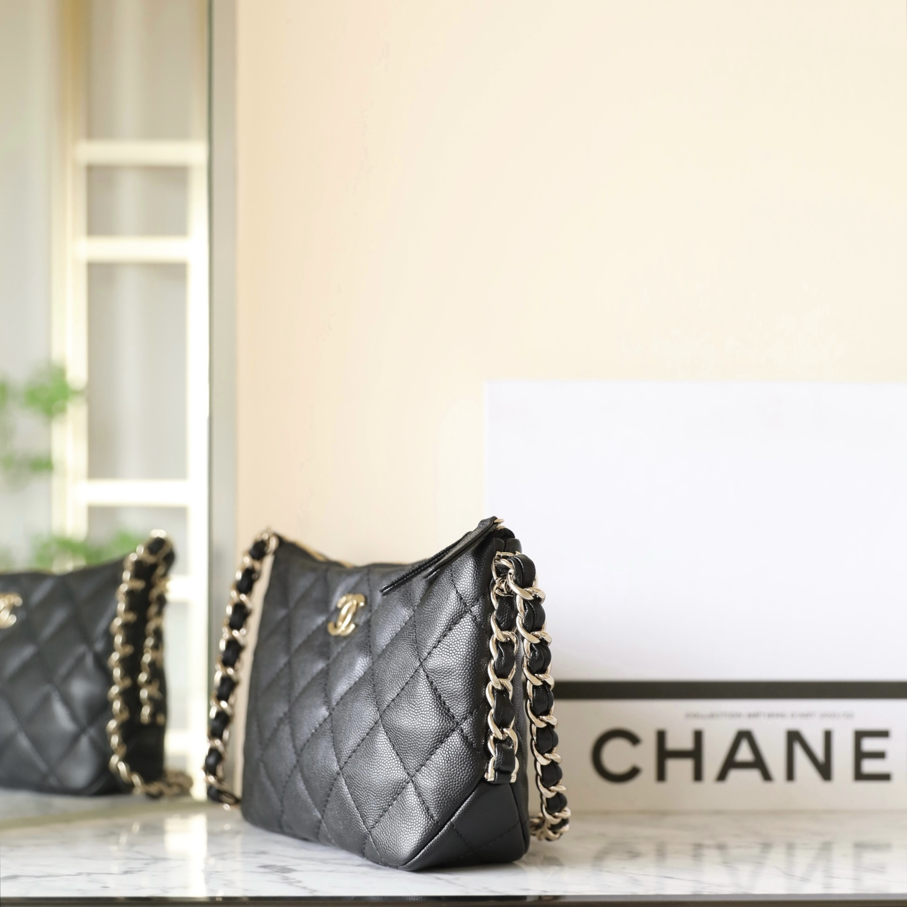 Chanel 香奈兒 Leather Goods