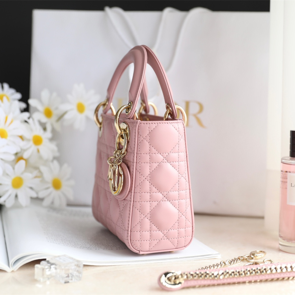 Dior 迪奧 Leather Goods