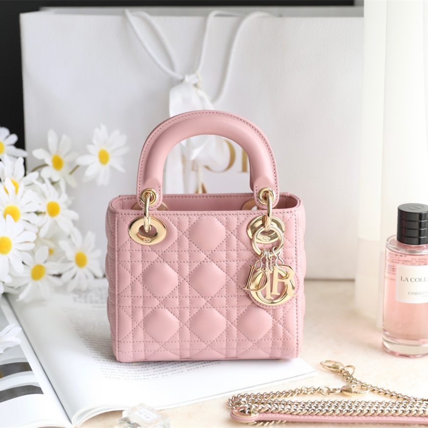 Dior 迪奧 Leather Goods