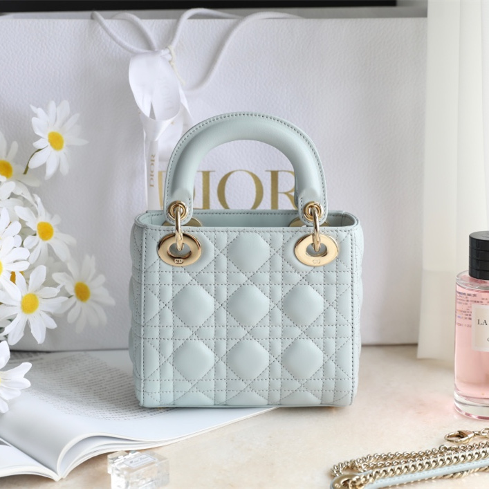 Dior 迪奧 Leather Goods