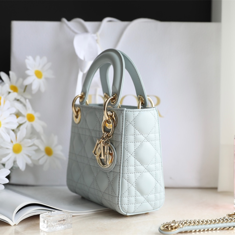 Dior 迪奧 Leather Goods