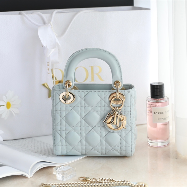 Dior 迪奧 Leather Goods