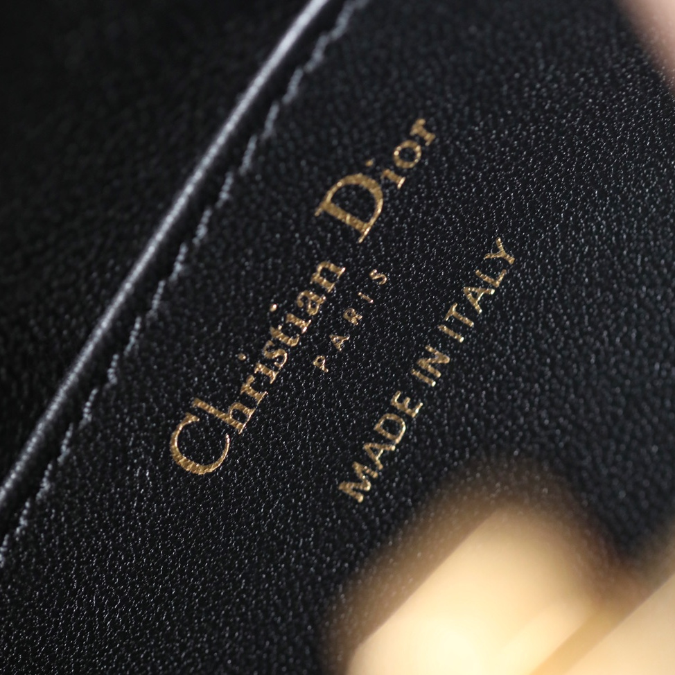 Dior 迪奧 Leather Goods