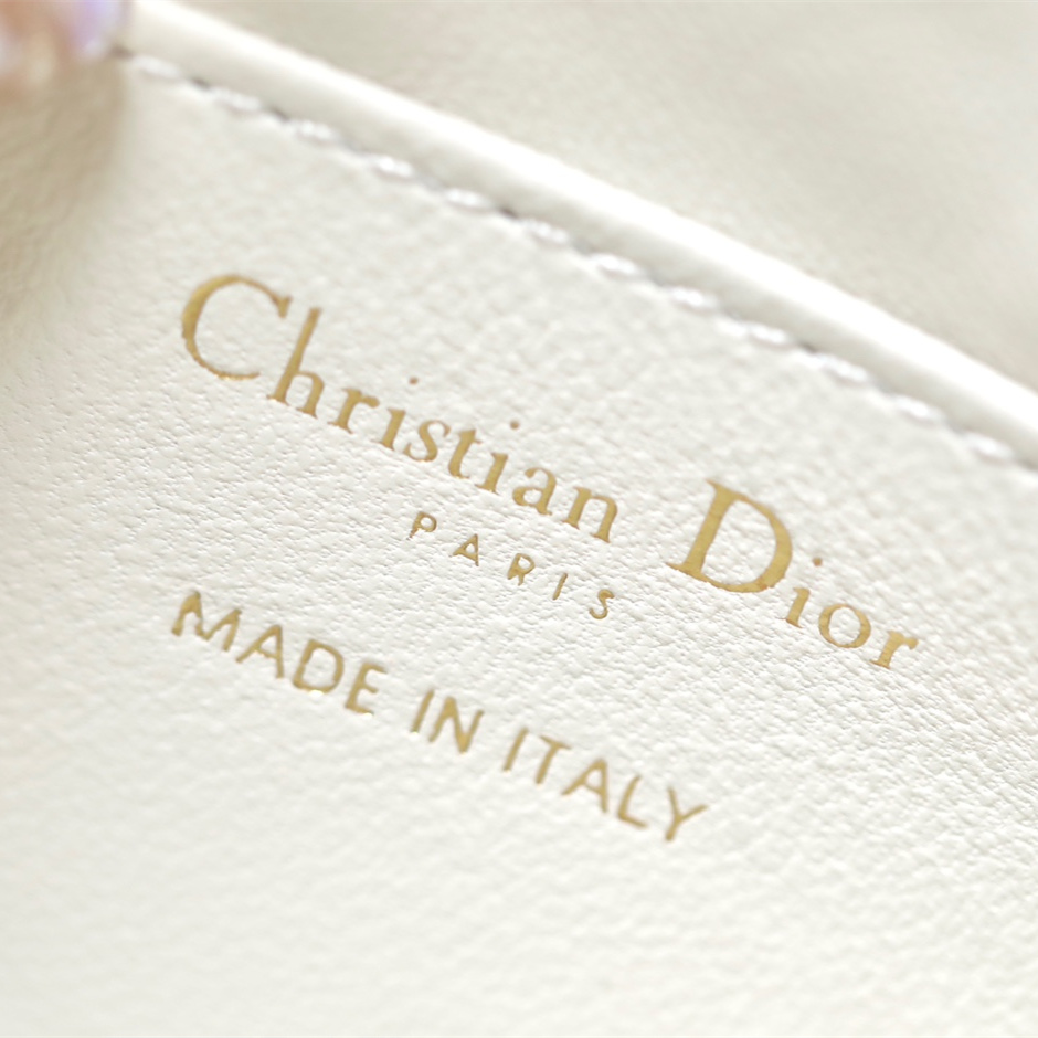 Dior 迪奧 Leather Goods