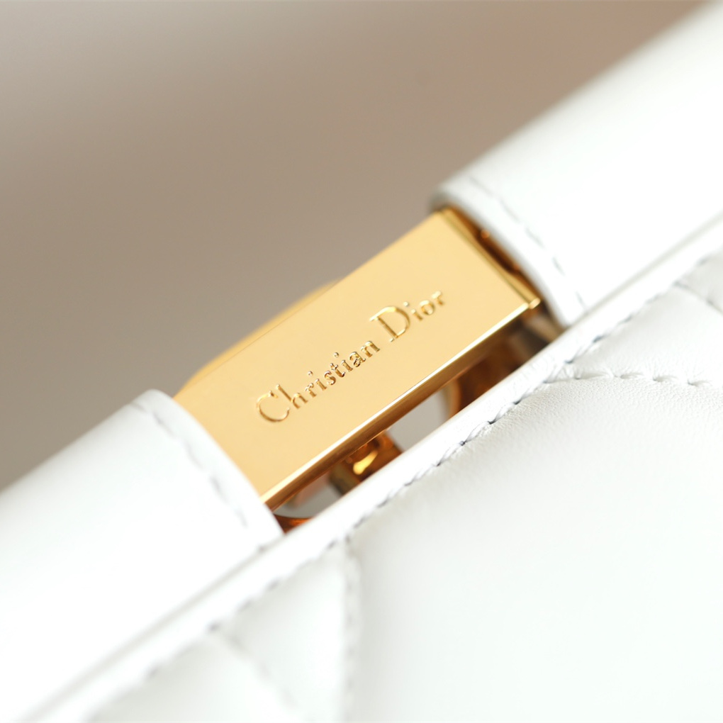 Dior 迪奧 Leather Goods