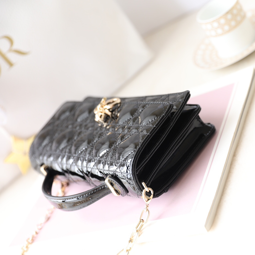 Dior 迪奧 Leather Goods