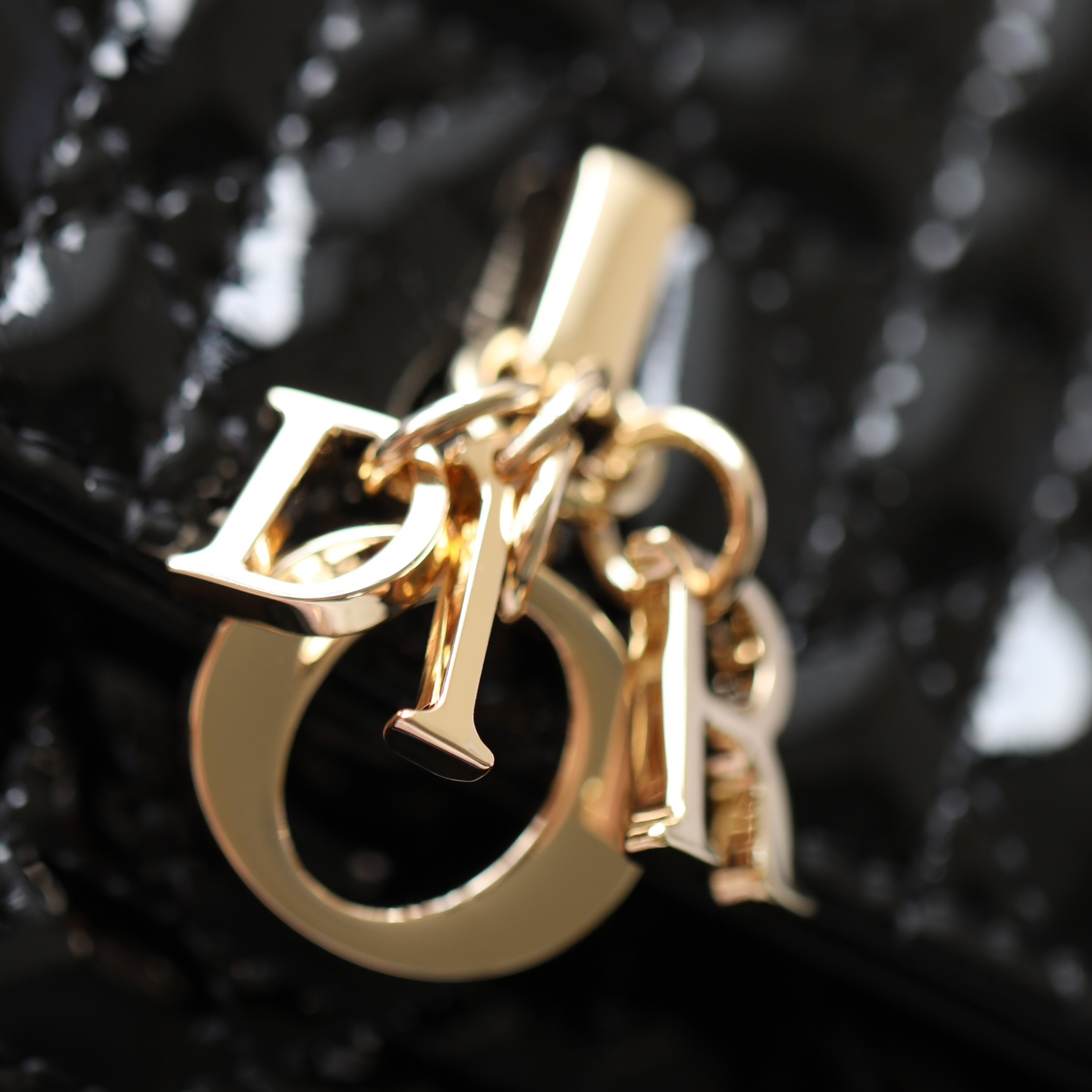 Dior 迪奧 Leather Goods