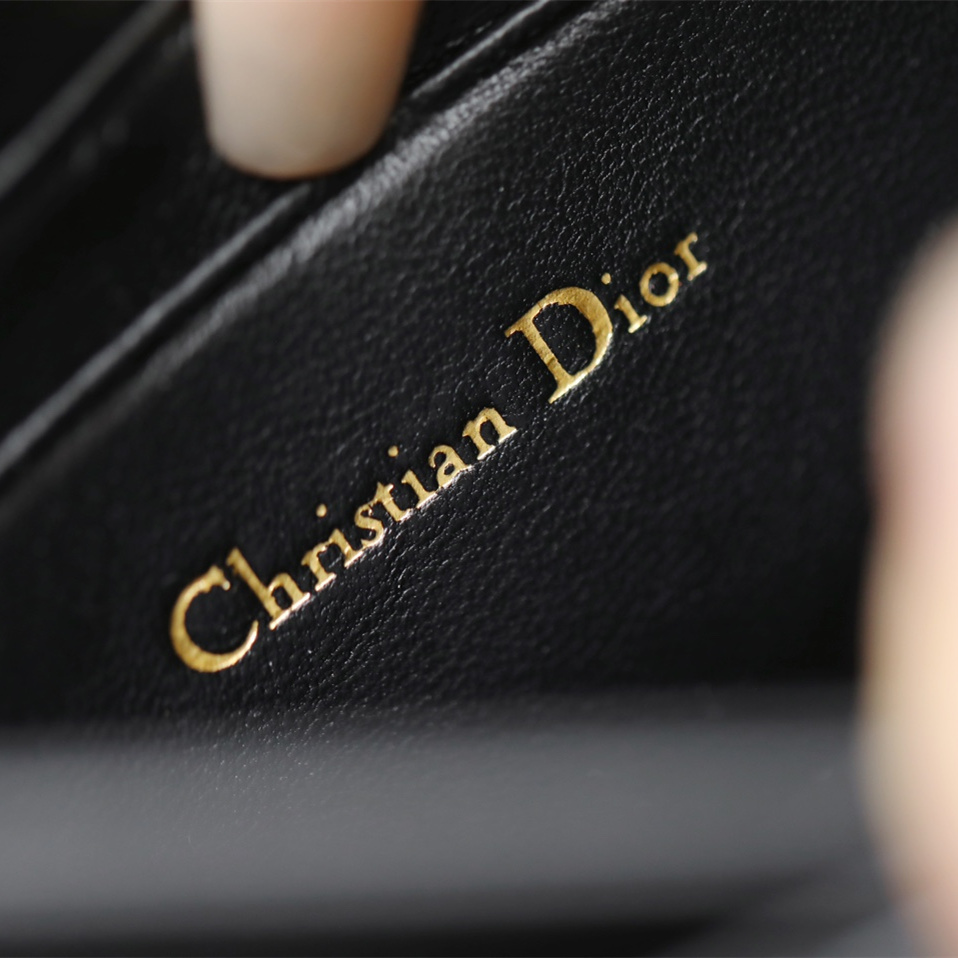 Dior 迪奧 Leather Goods