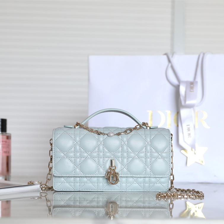 Dior 迪奧 Leather Goods