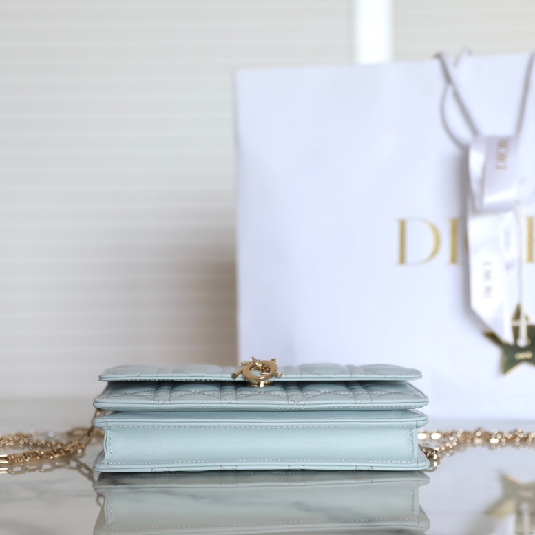 Dior 迪奧 Leather Goods
