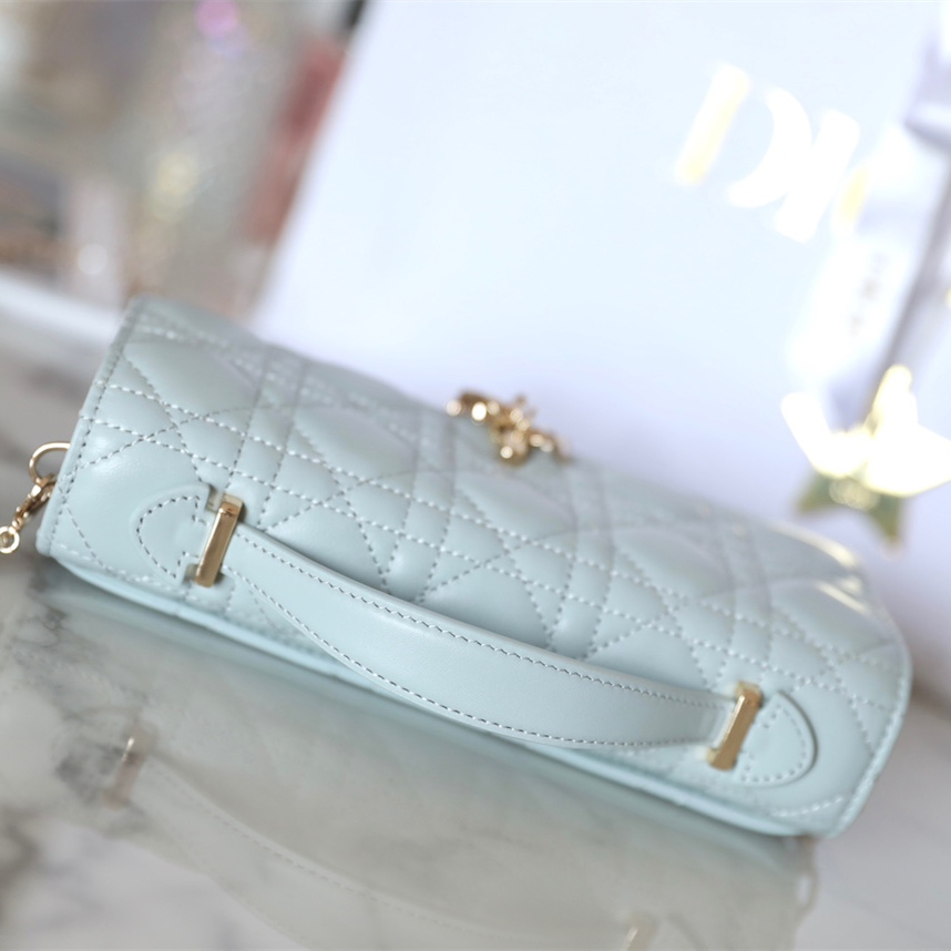Dior 迪奧 Leather Goods