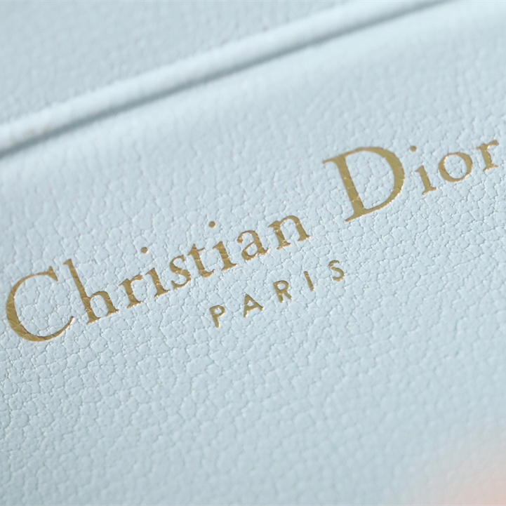 Dior 迪奧 Leather Goods