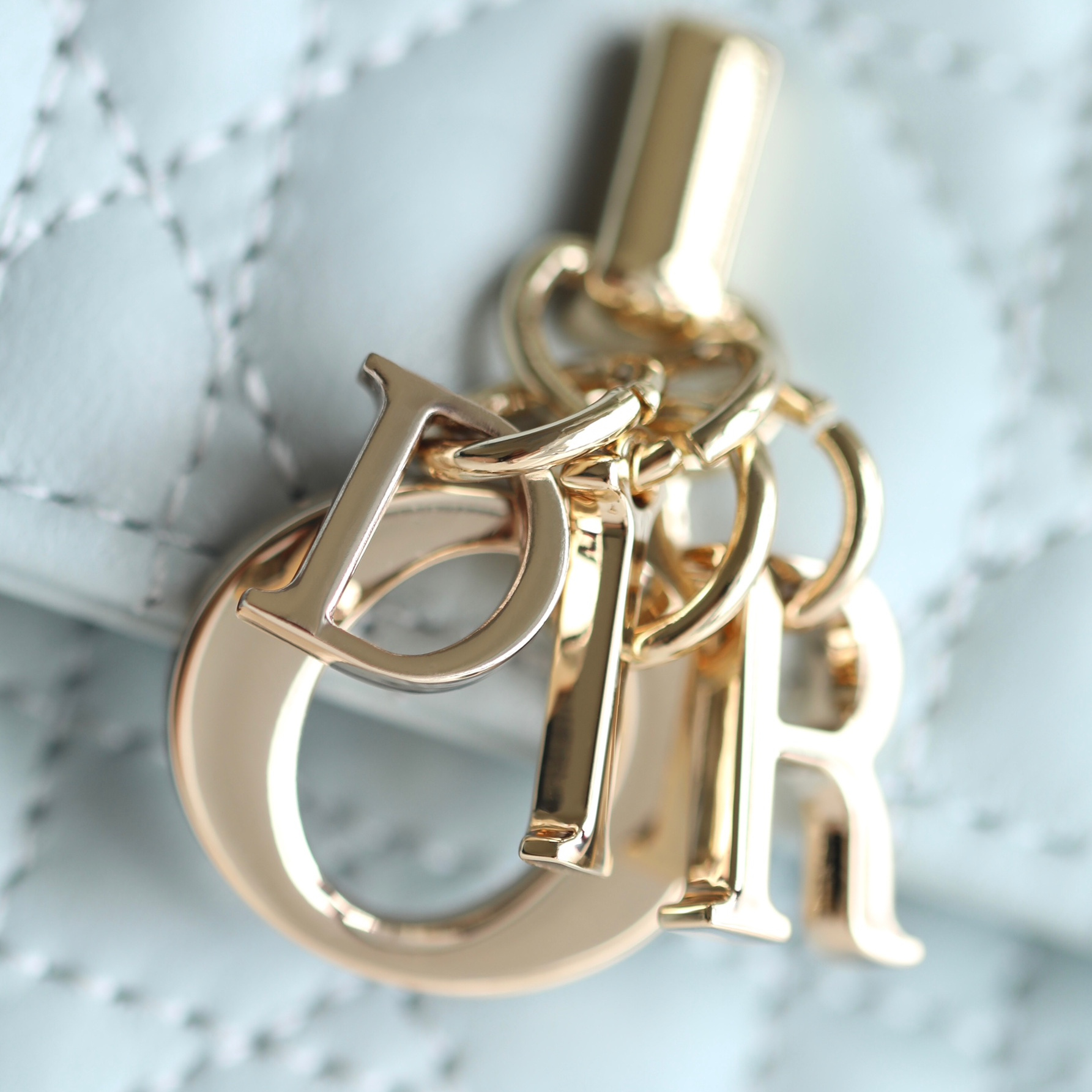Dior 迪奧 Leather Goods