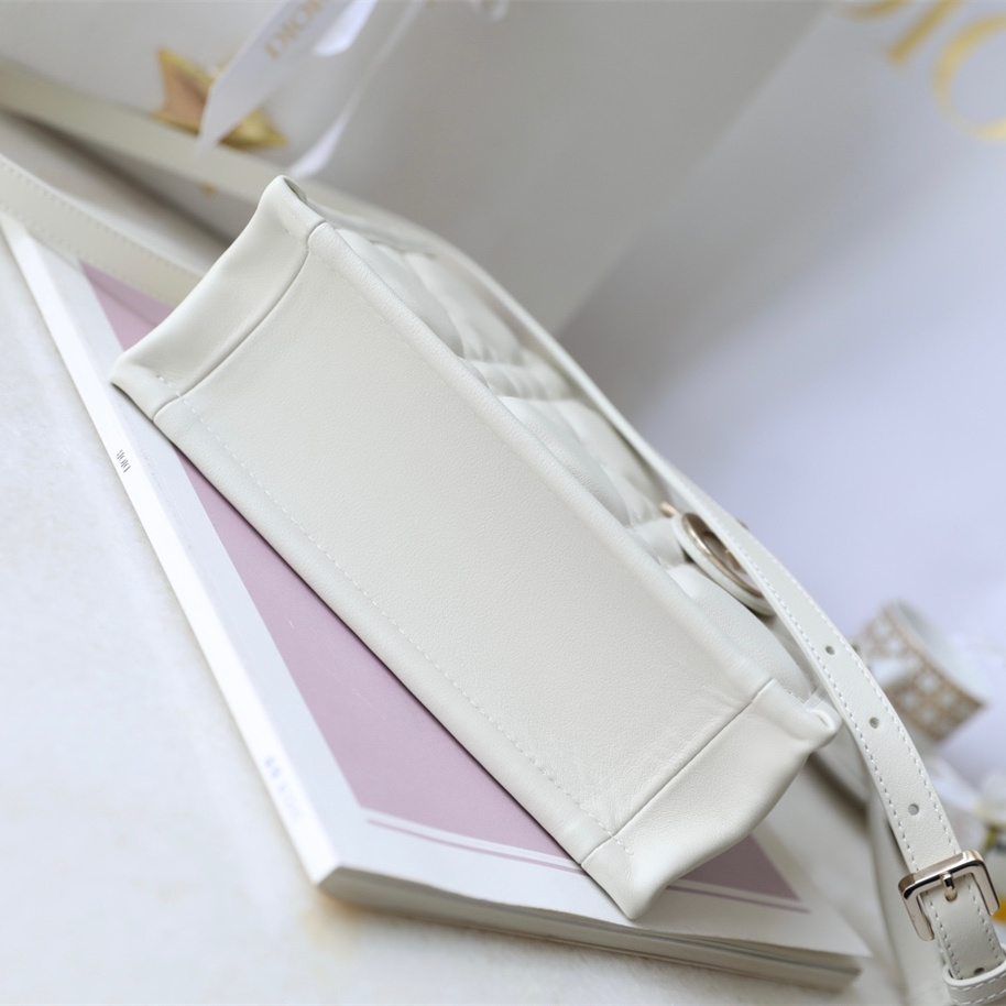 Dior 迪奧 Leather Goods