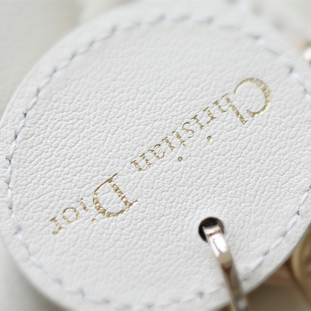 Dior 迪奧 Leather Goods
