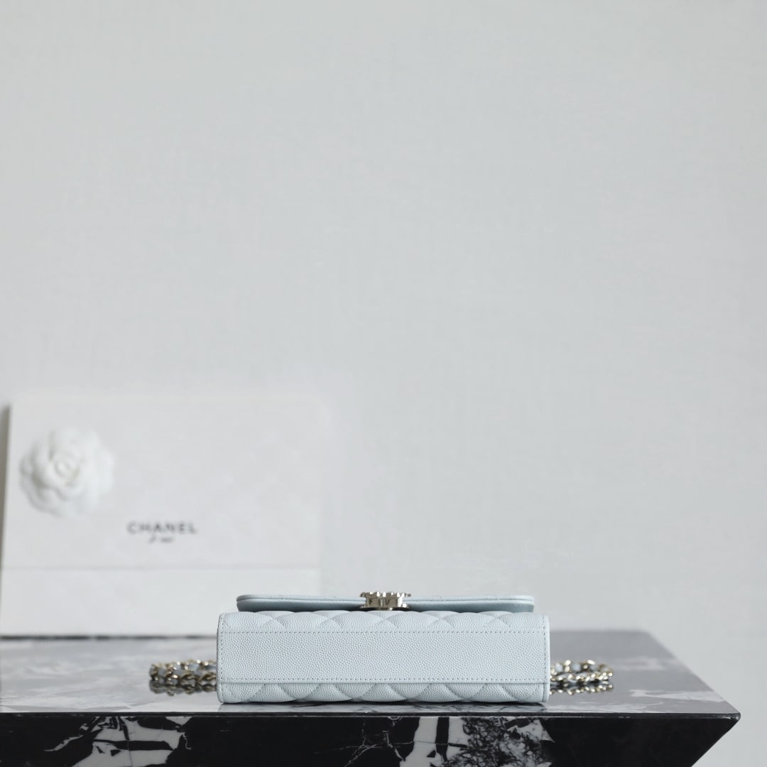 Chanel 香奈兒 Leather Goods
