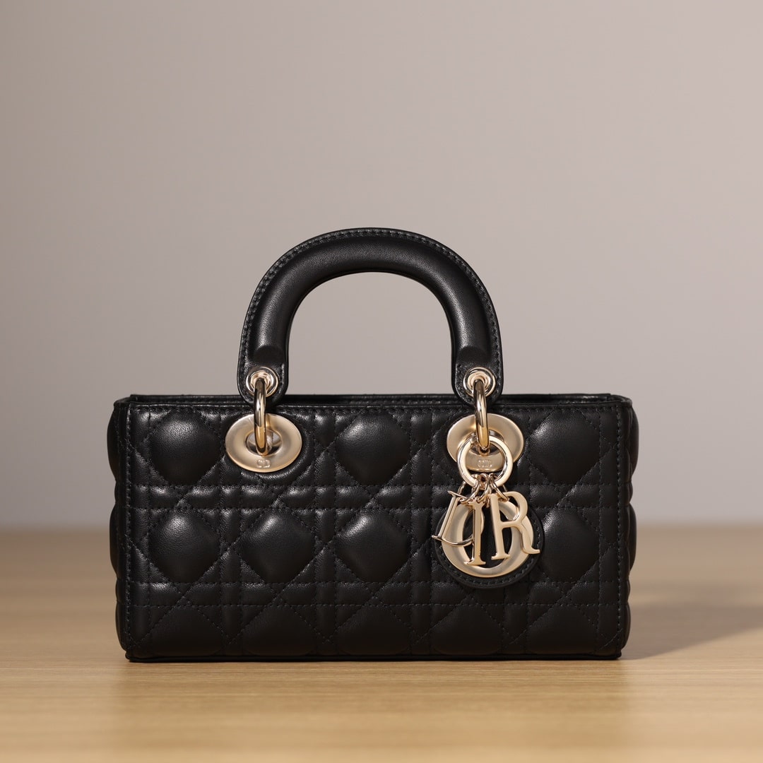 Dior 迪奧 Leather Goods