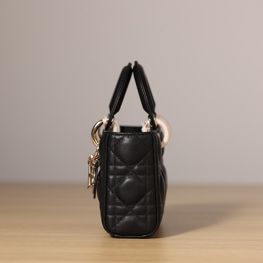 Dior 迪奧 Leather Goods