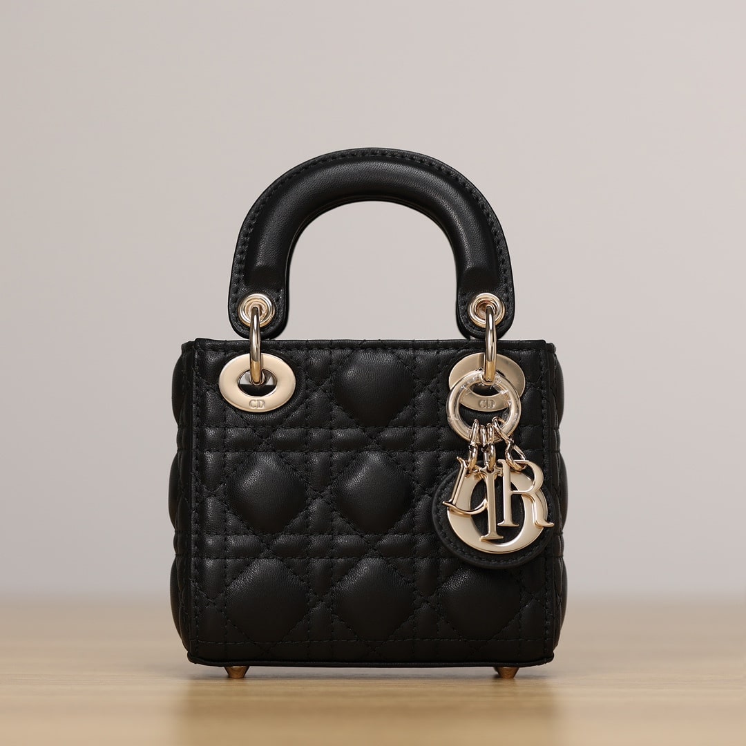 Dior 迪奧 Leather Goods