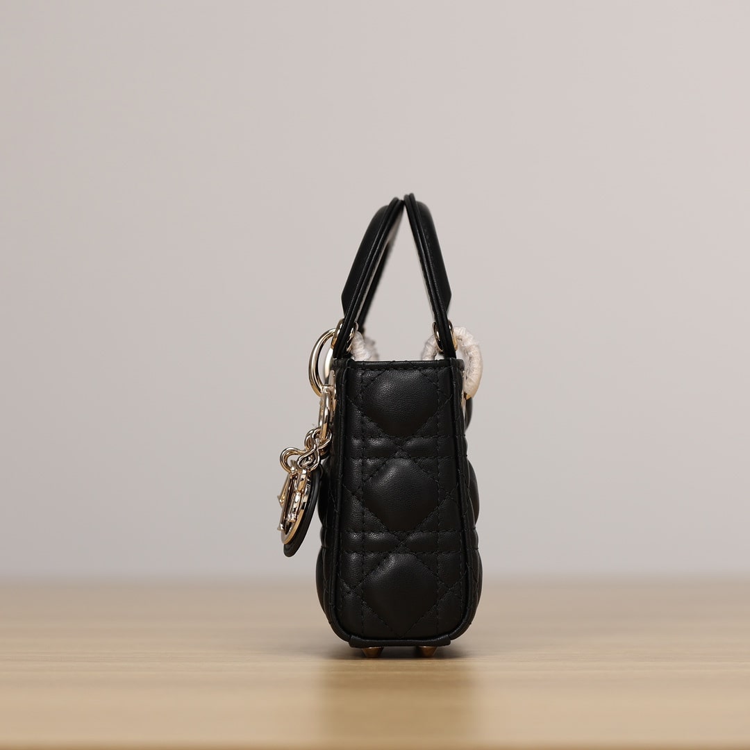 Dior 迪奧 Leather Goods