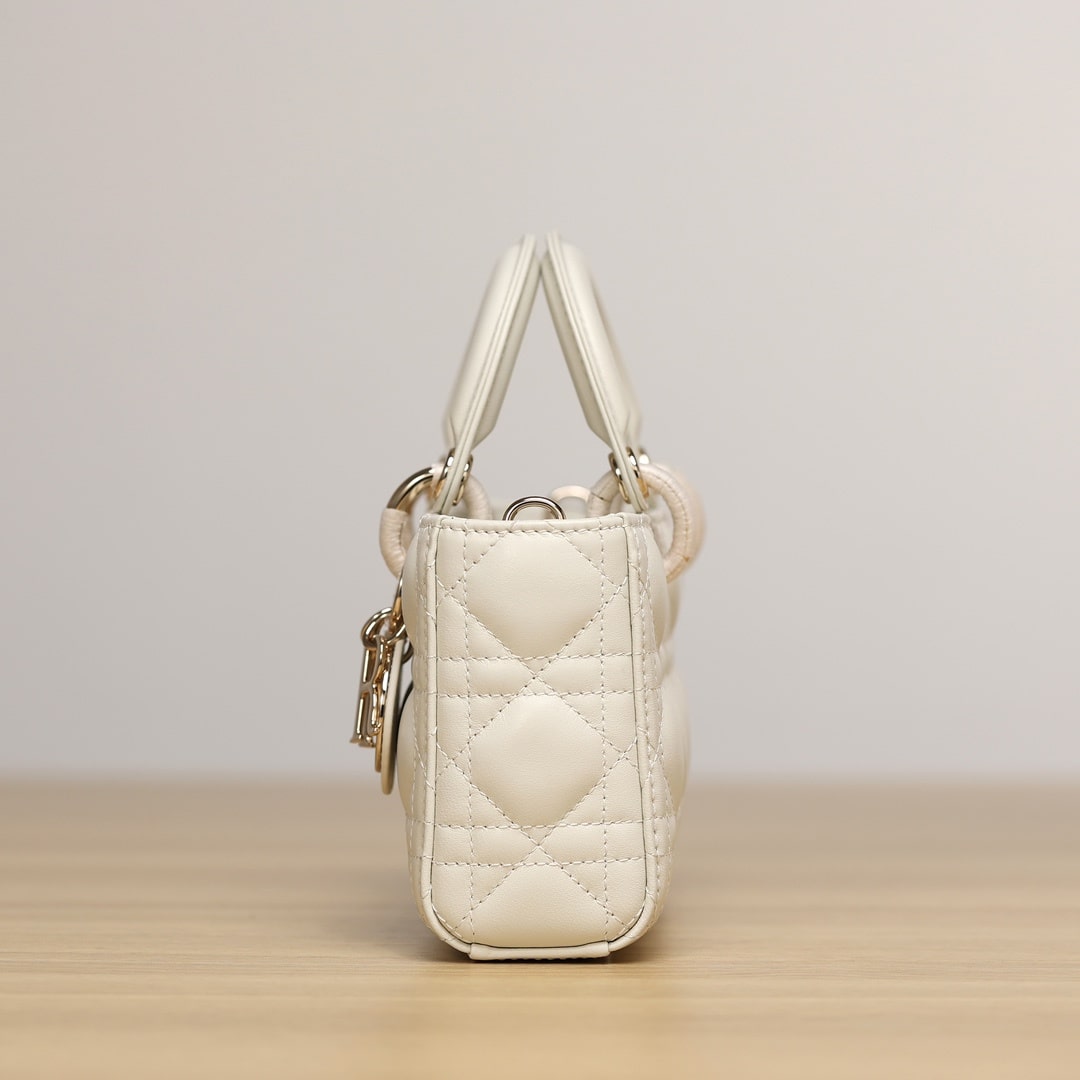 Dior 迪奧 Leather Goods