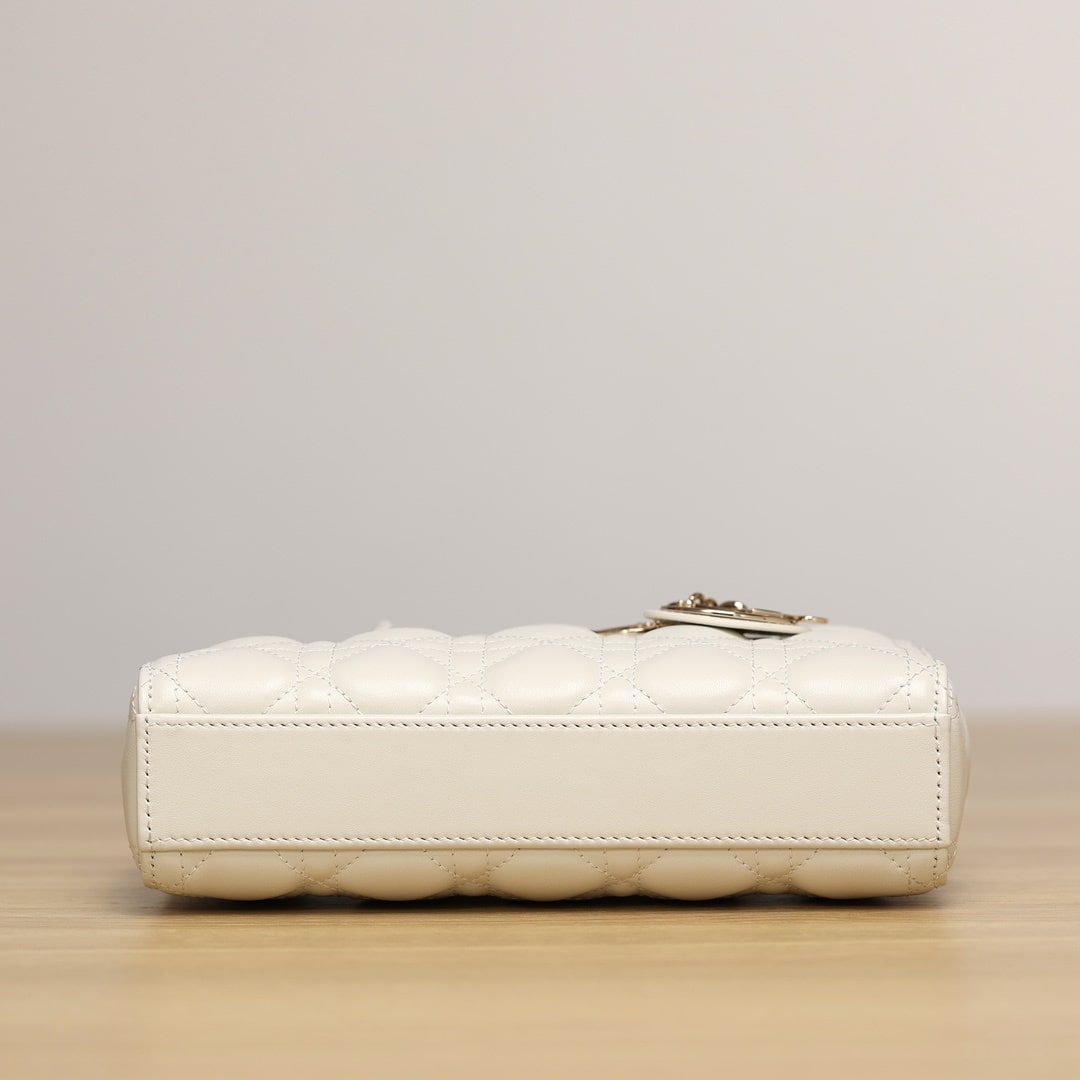Dior 迪奧 Leather Goods