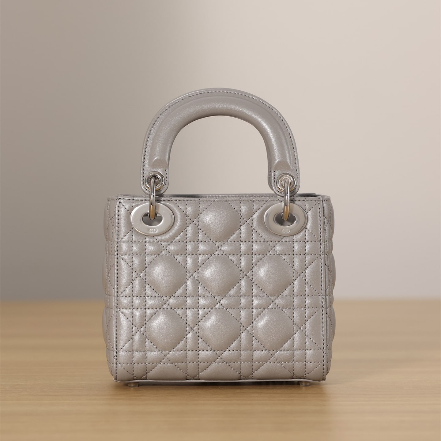 Dior 迪奧 Leather Goods