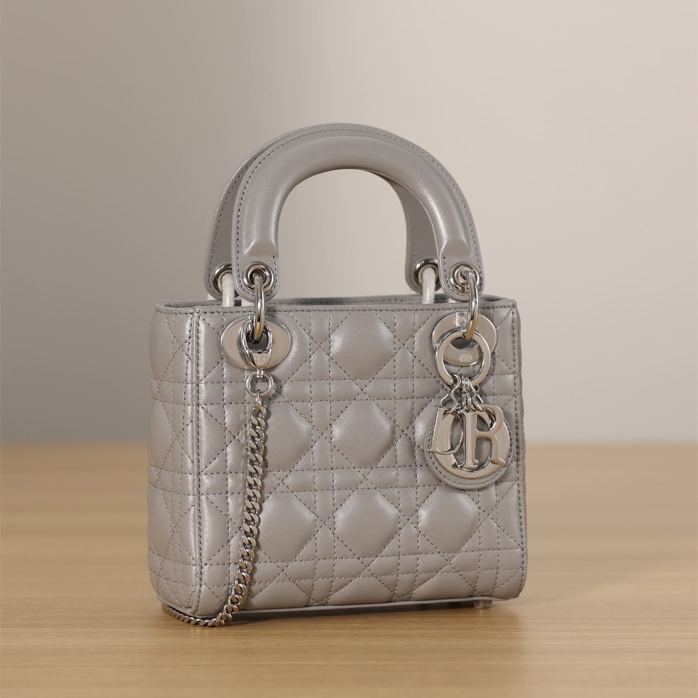 Dior 迪奧 Leather Goods