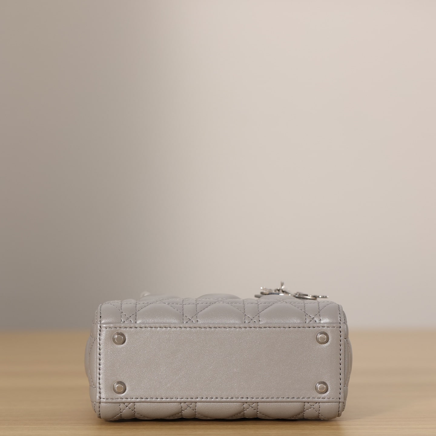Dior 迪奧 Leather Goods