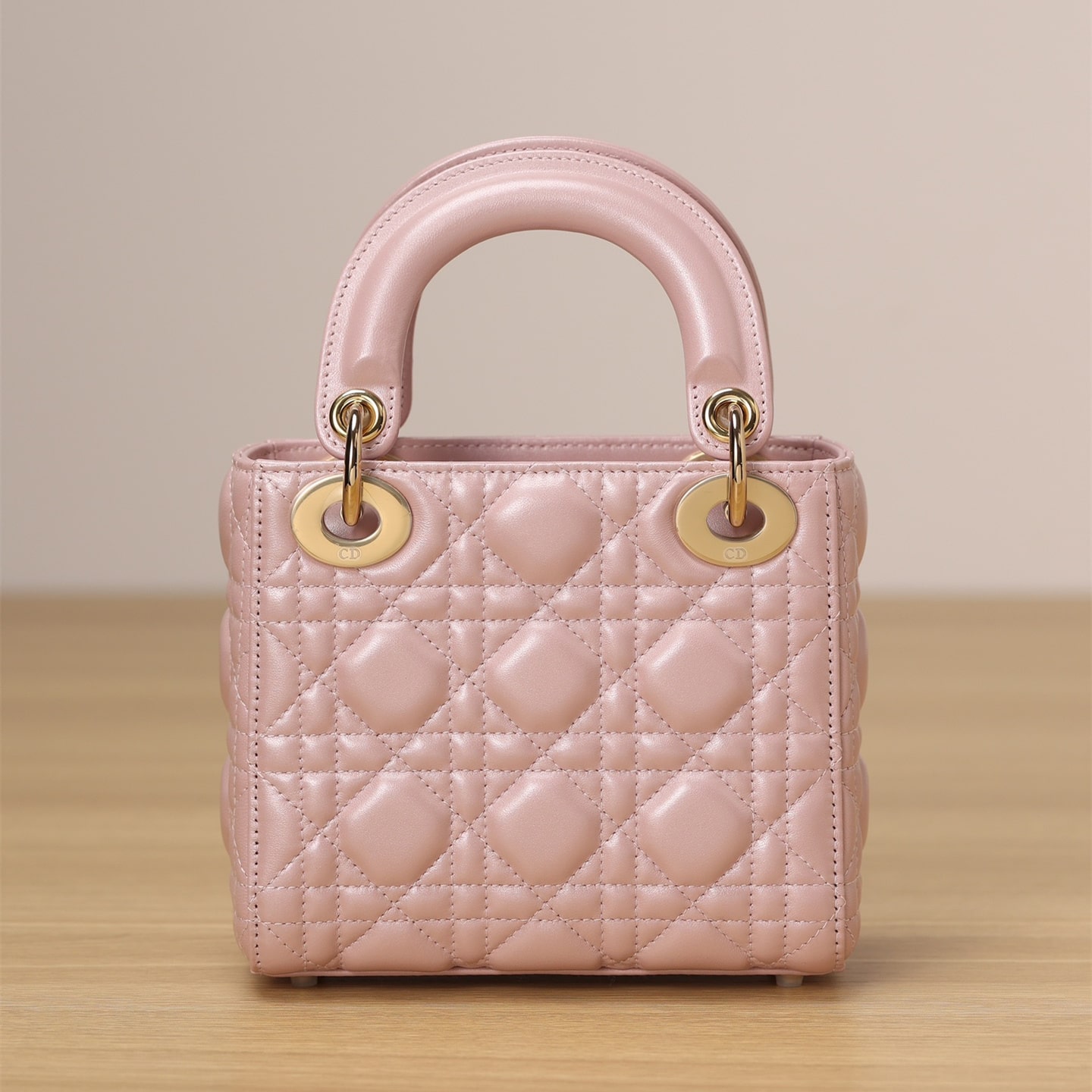 Dior 迪奧 Leather Goods