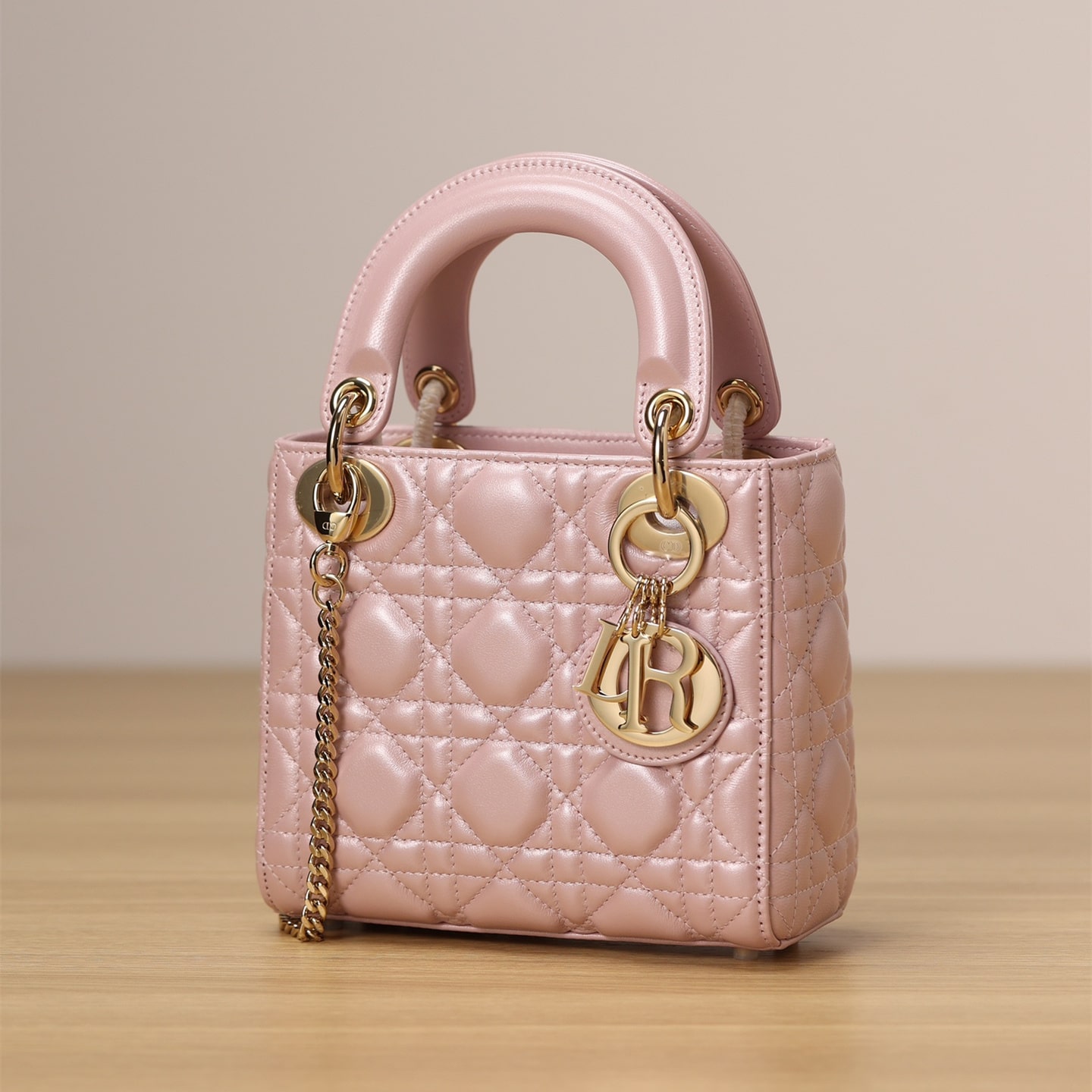 Dior 迪奧 Leather Goods