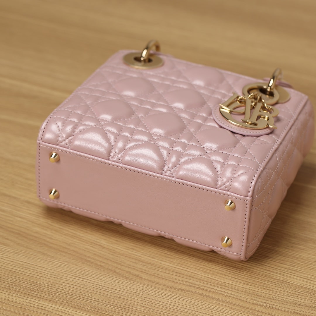Dior 迪奧 Leather Goods