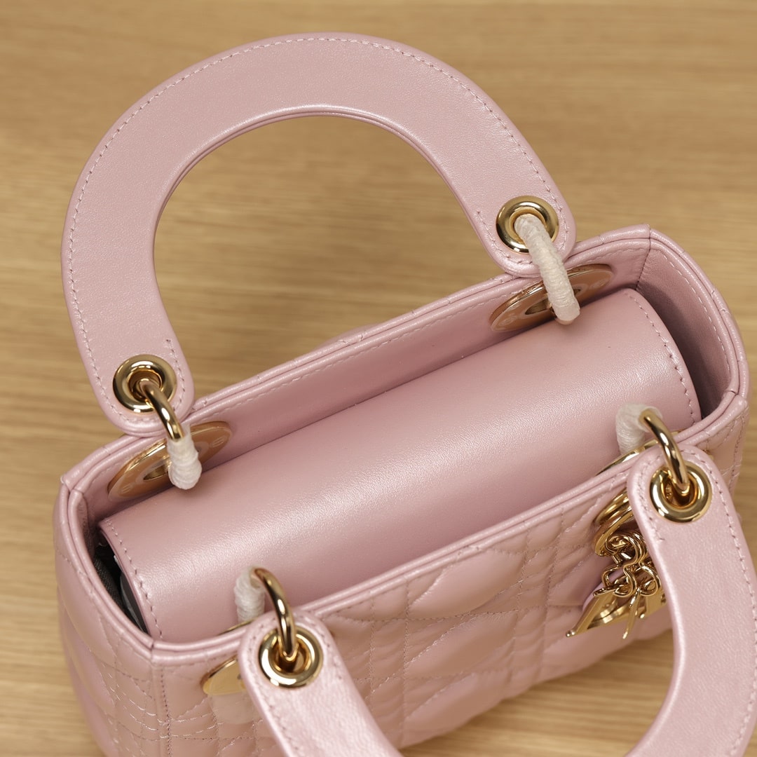 Dior 迪奧 Leather Goods