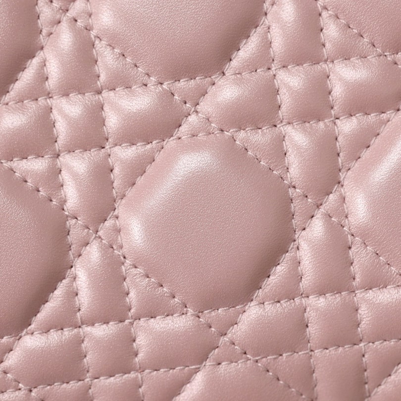 Dior 迪奧 Leather Goods
