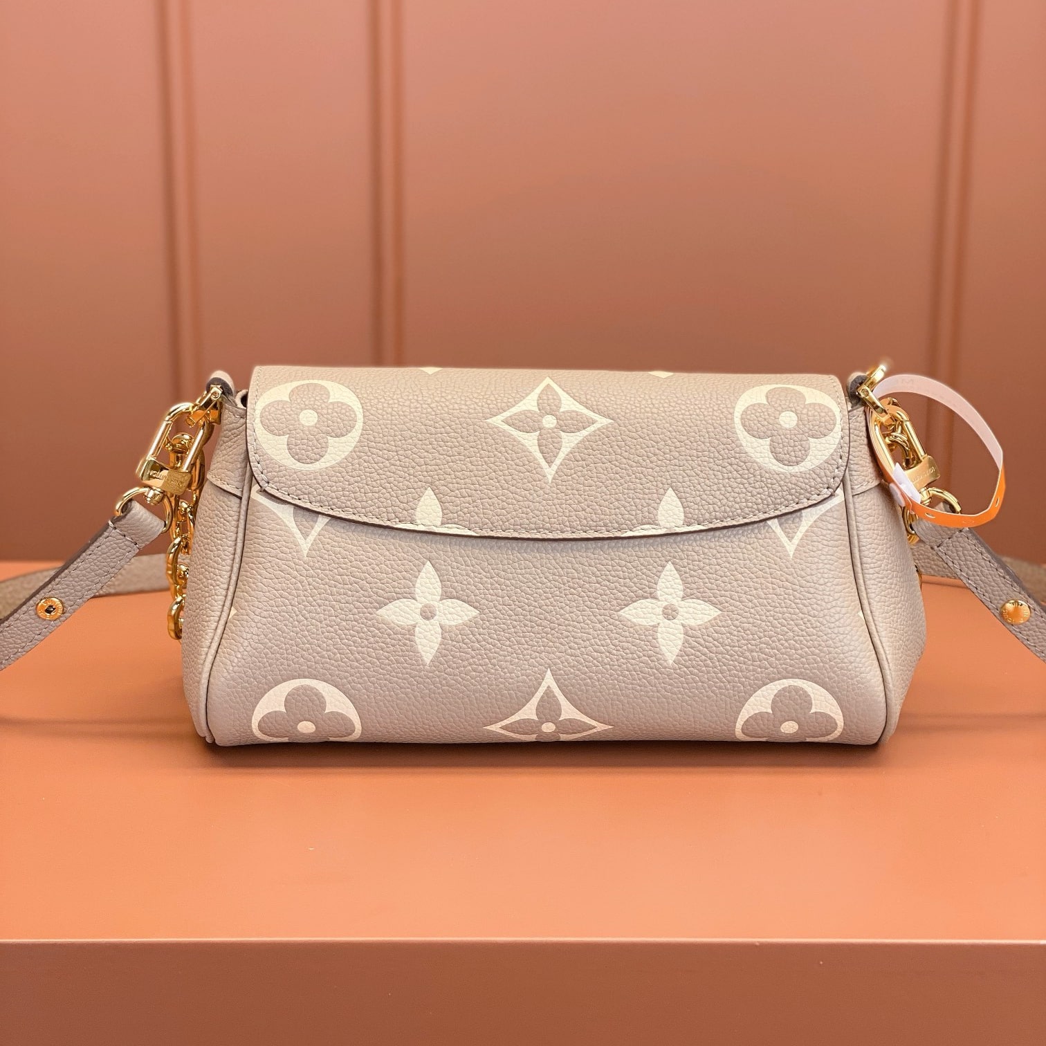Louis Vuitton 路易威登 Chain Bag